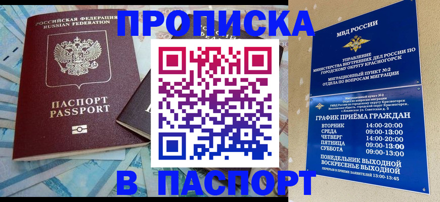 найти адрес прописки в Звенигово